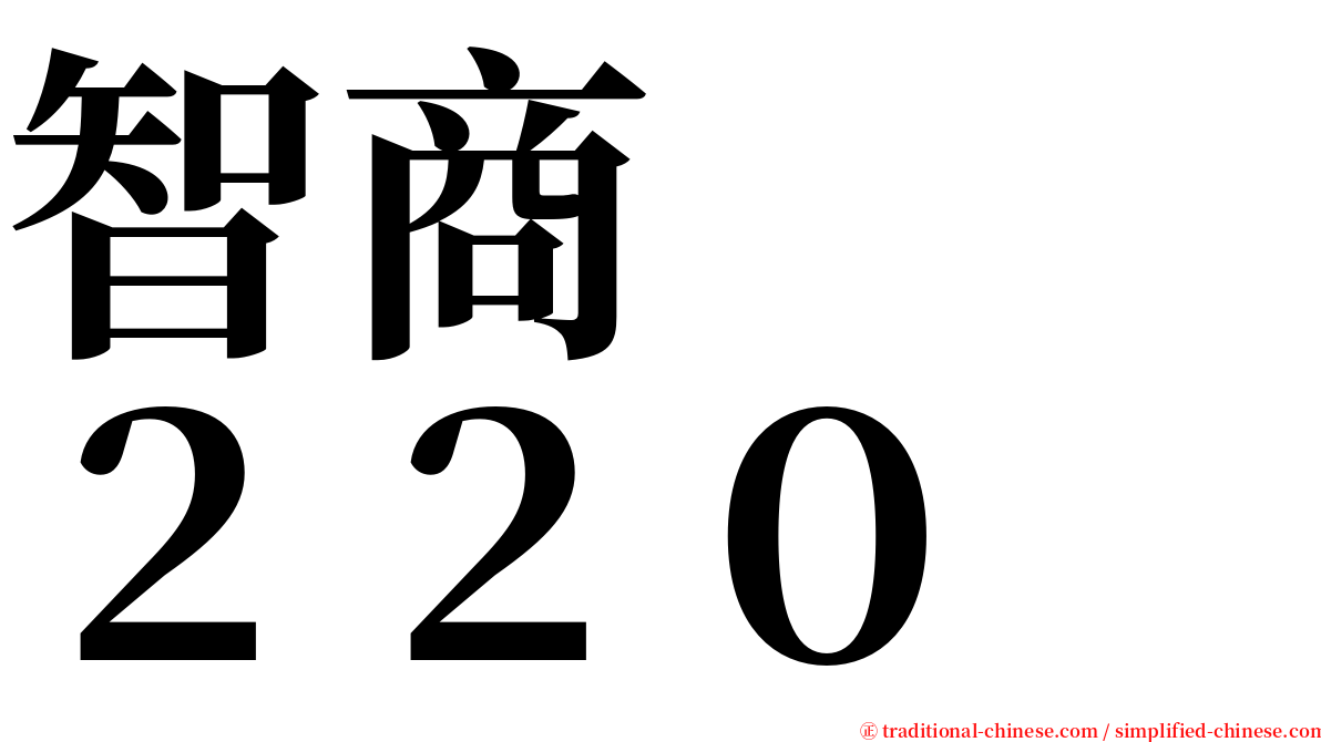 智商　　２２０ serif font